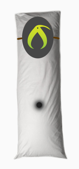 Pillow2.png