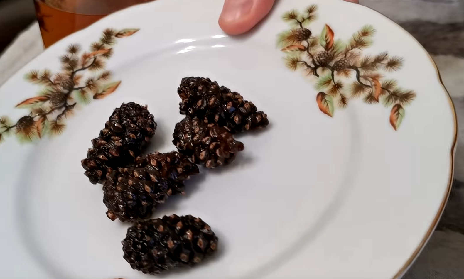 pine cones.png