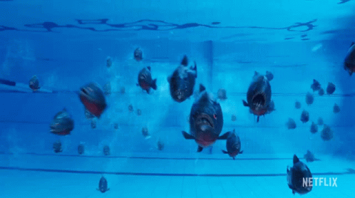 pirahanas.gif