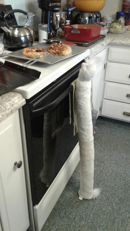 pizzafurb.jpg