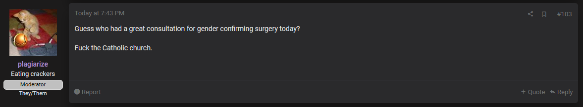 plagiarize.PNG