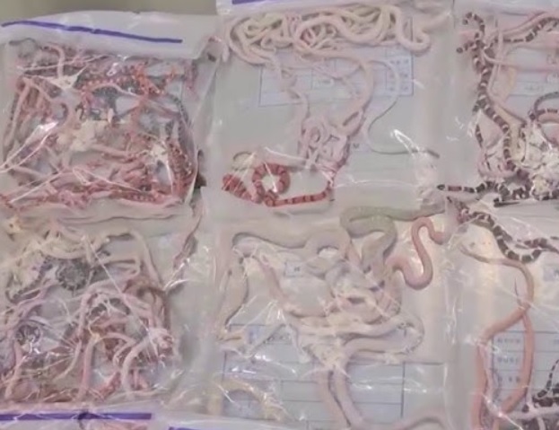 plastic.jpg