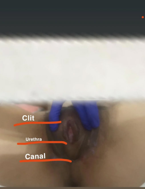 Please_halllppp2.jpg