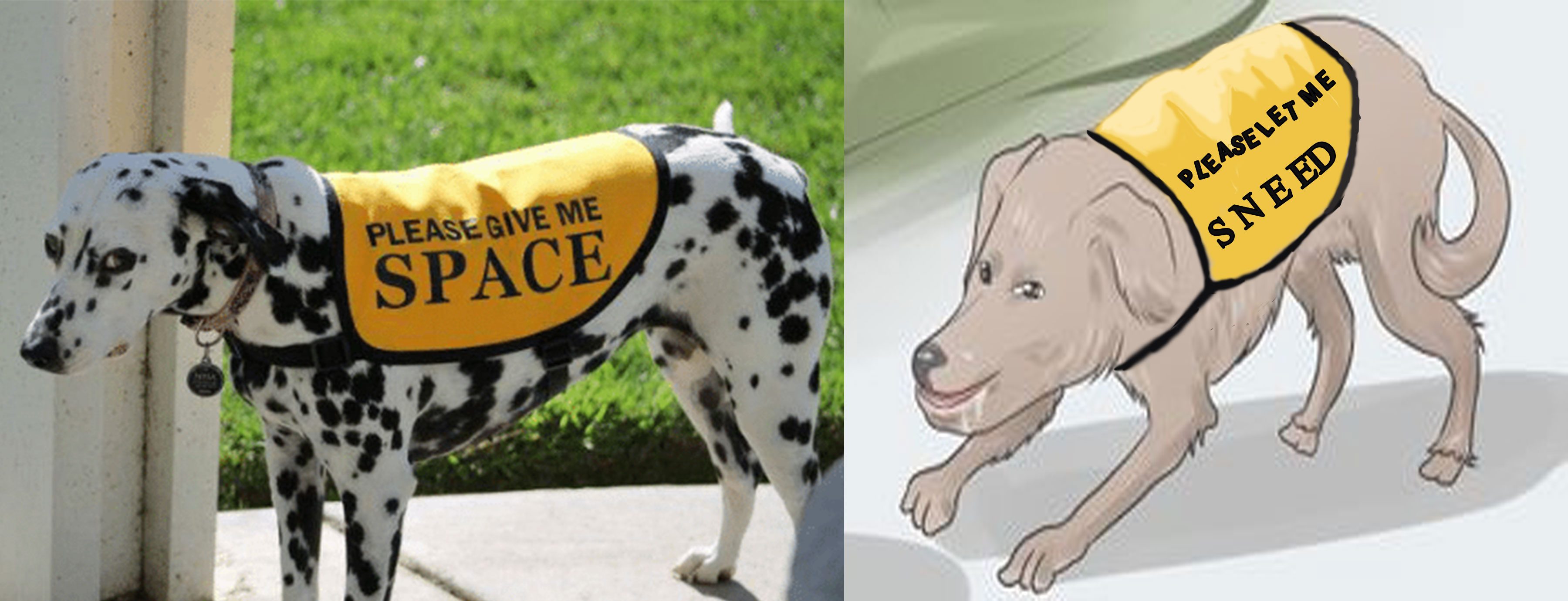 PLMS.jpg