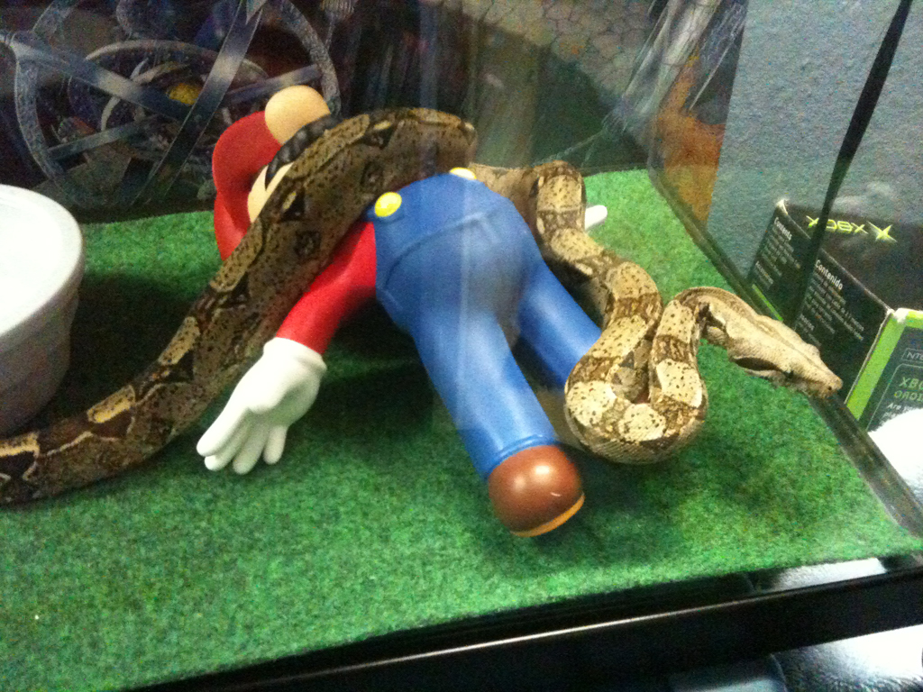 Plumber Snake.jpg