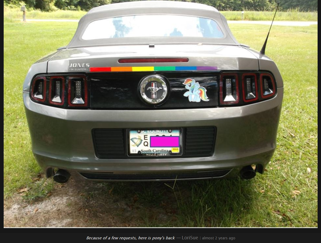 pony.png