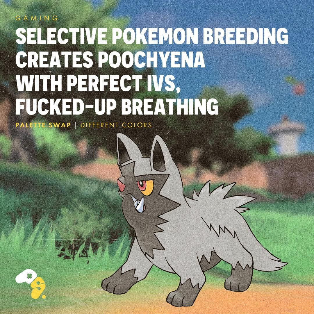 pooch.png