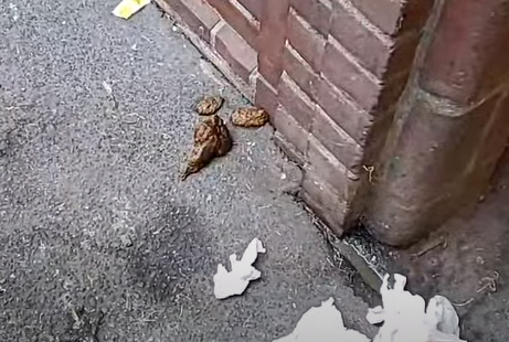 poop.png