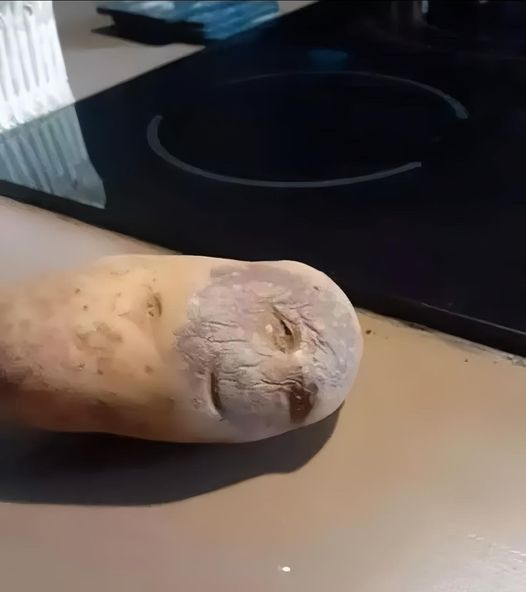 potato.jpg