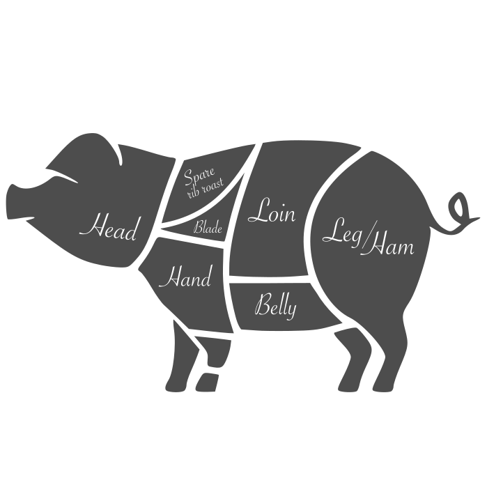 PPPig.png