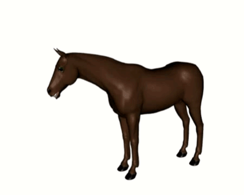 pppony.gif