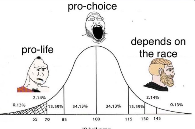 Pro 2.jpg