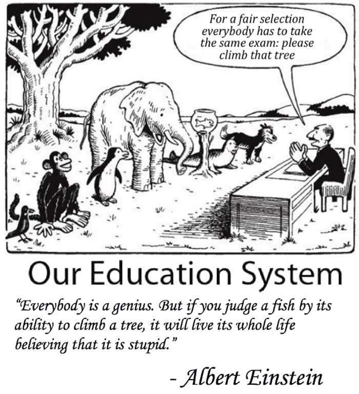 Probably Fake Einstein Testing.jpg