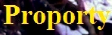 Proporty.jpg