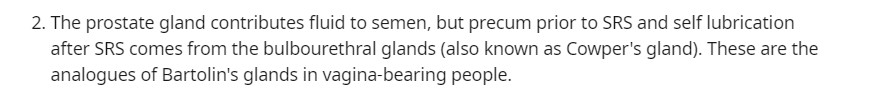 prostategland.png