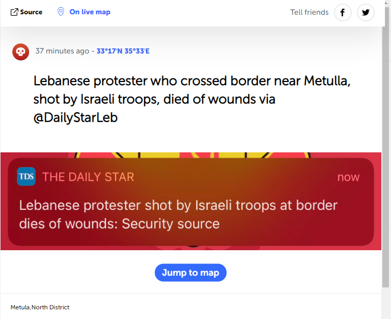 protestor.PNG