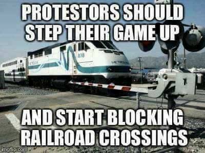 protestors train.jpg