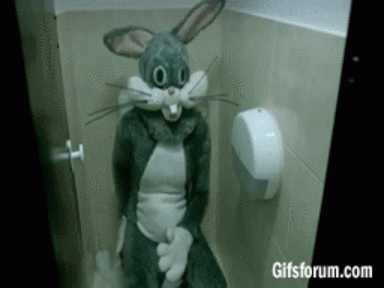 proxy-2.gif
