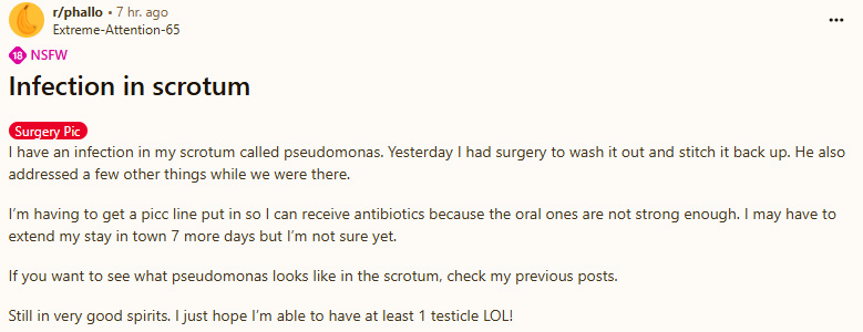 Pseudomonas1.jpg