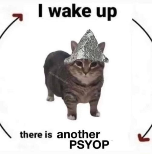 psyopcat.jpg