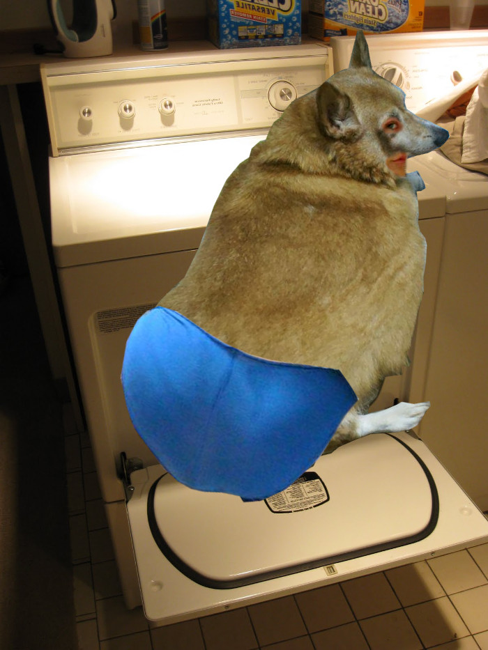 pt-dryer.jpg