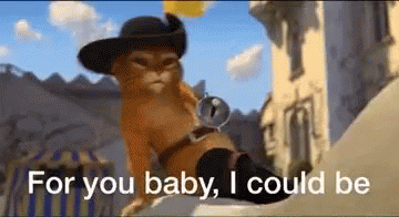puss-in.gif