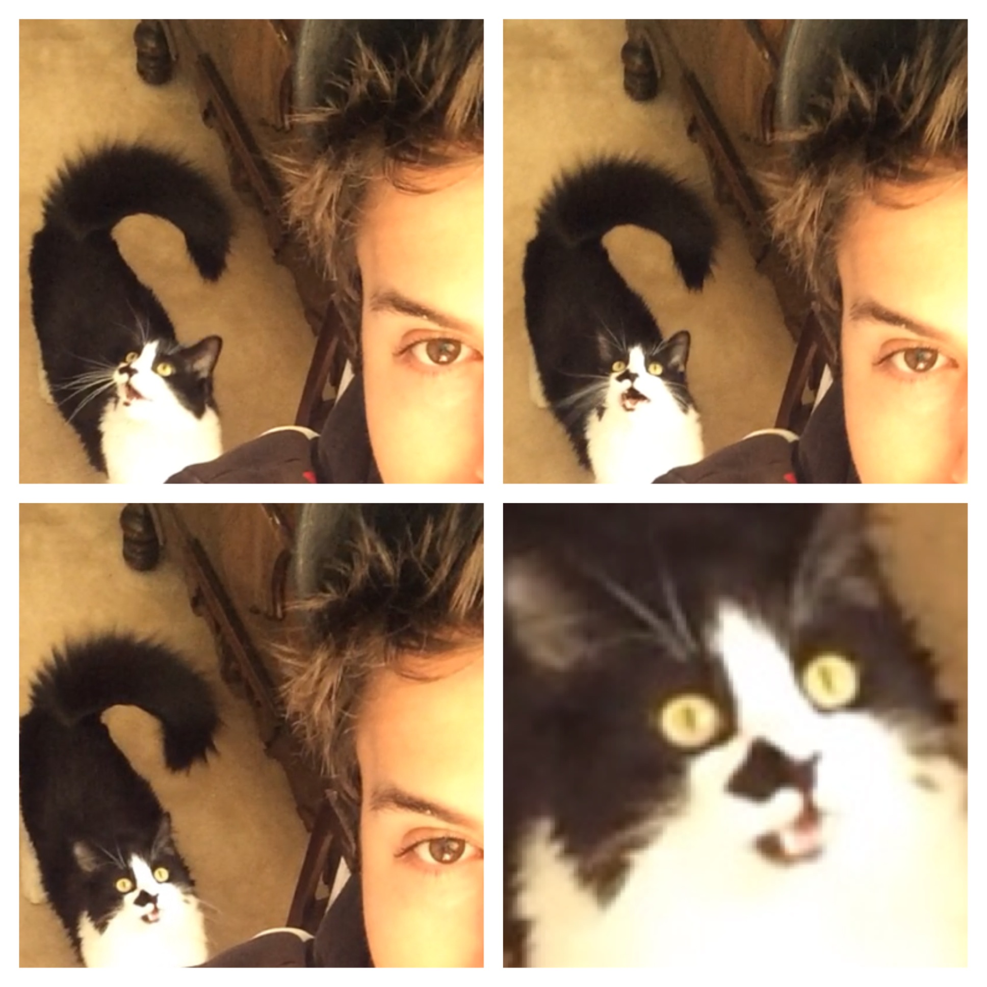 PwhcTlt.jpg