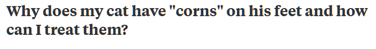 QuoraQuestions1.png