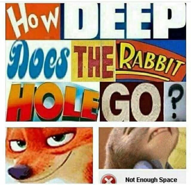 rabbit hole.jpg