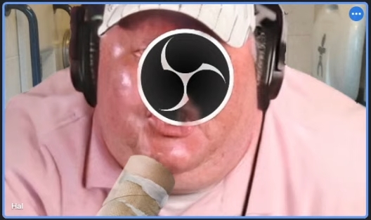 rage pig.jpg