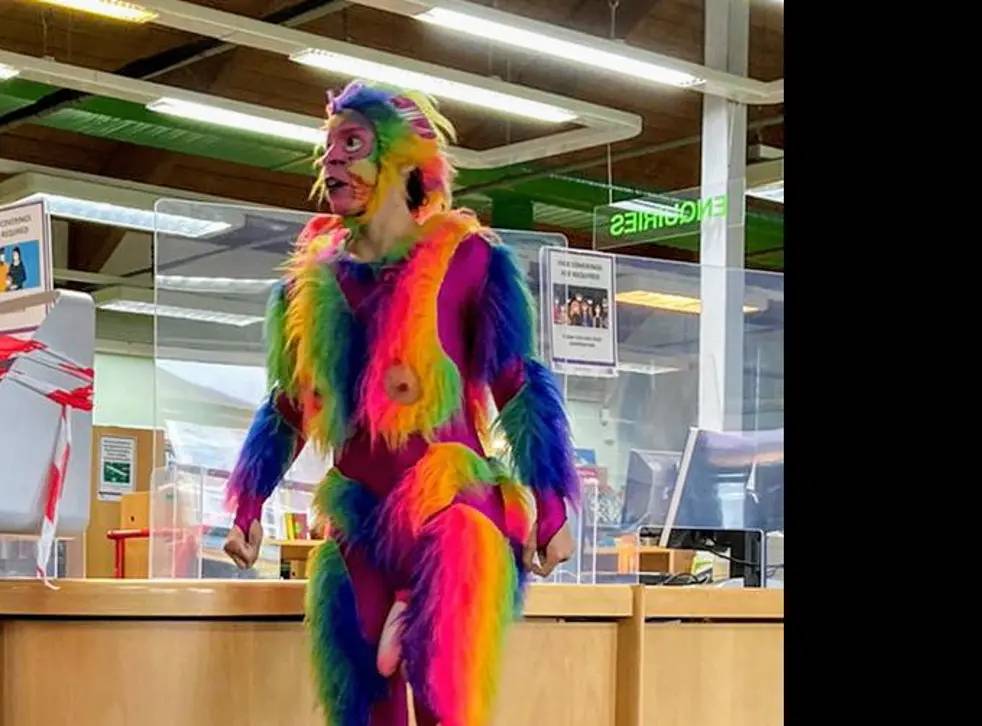 rainbowdildomonkey.jpg