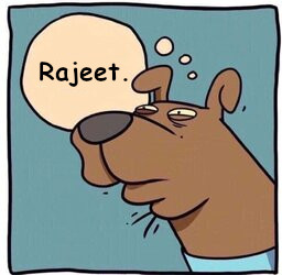 rajeet.jpeg