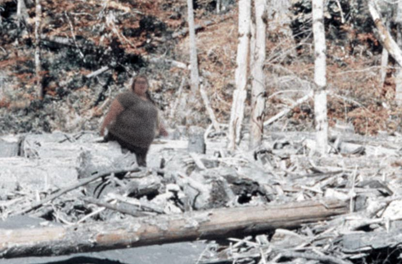 raresighting.png