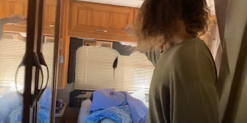 ratFlinging.png