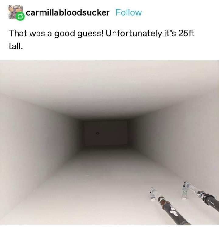 received_289194362996900.jpeg