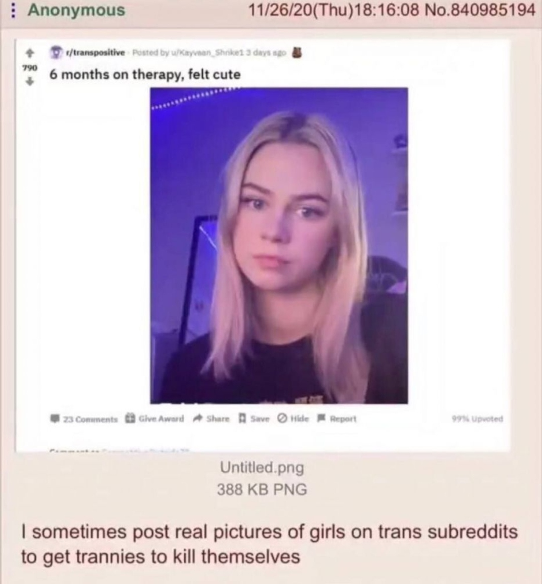 Reddit (9).png
