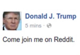 reddit.jpg