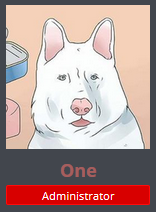 Remember to archive everything.png