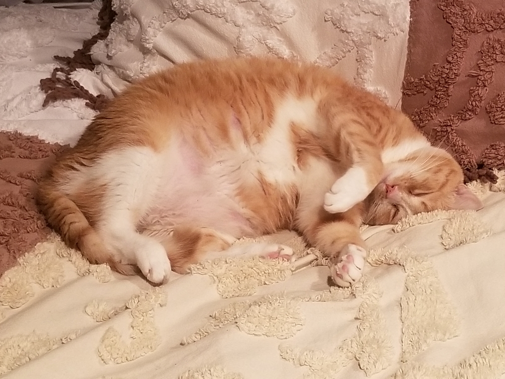 Resized_20190909_143800.jpeg