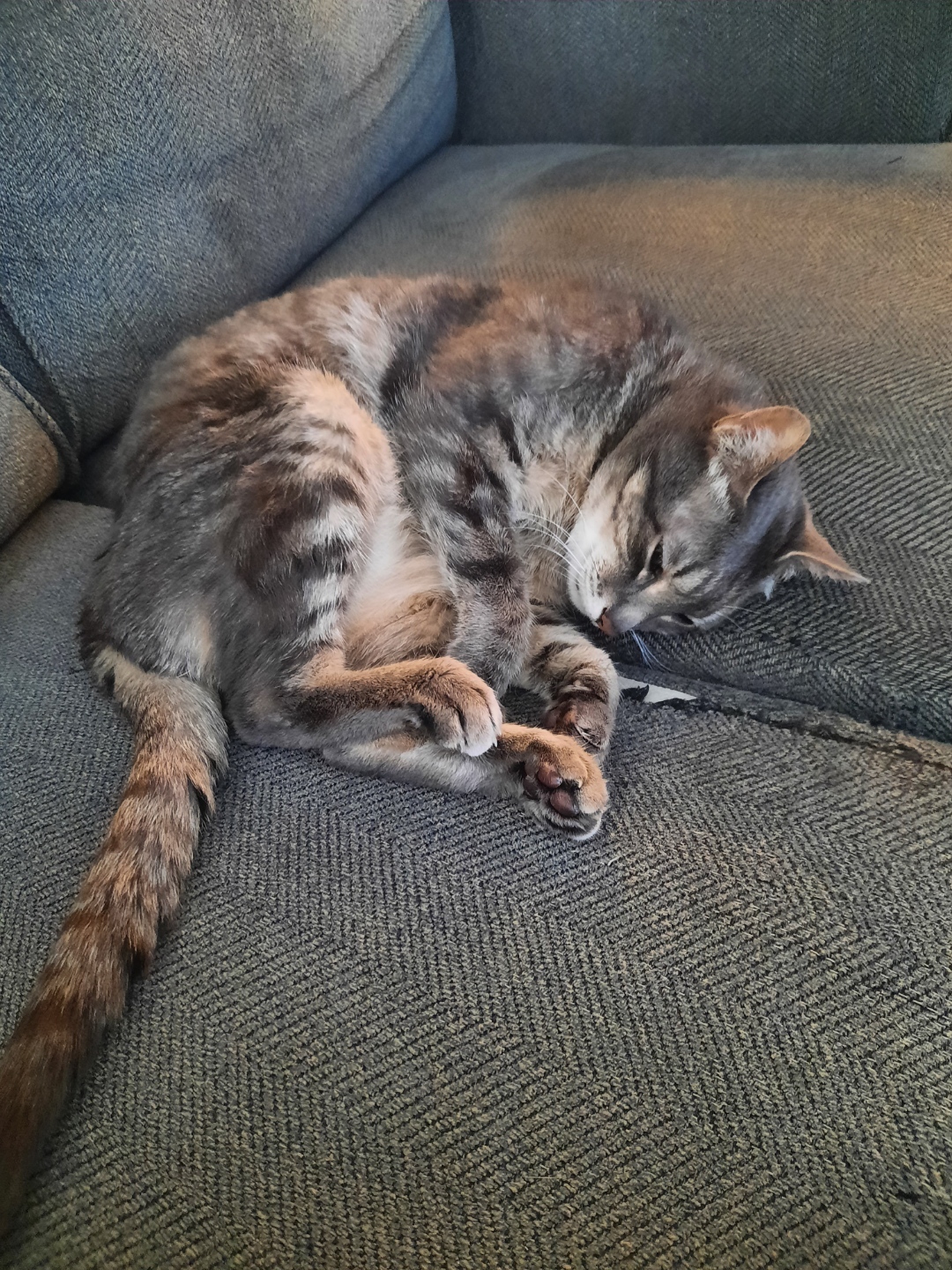 Resized_20220425_125813.jpeg
