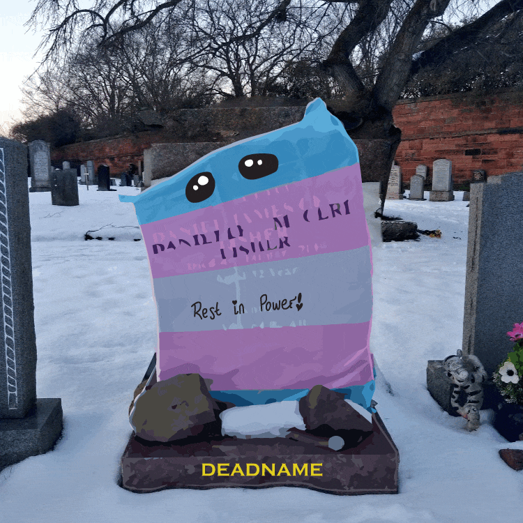RestInPillow.gif
