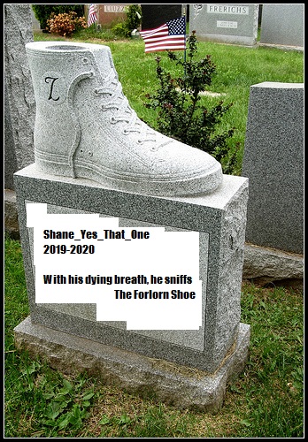 restinshoe.jpg