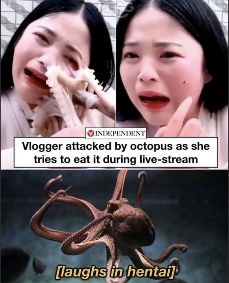 rF3H octopus.jpeg