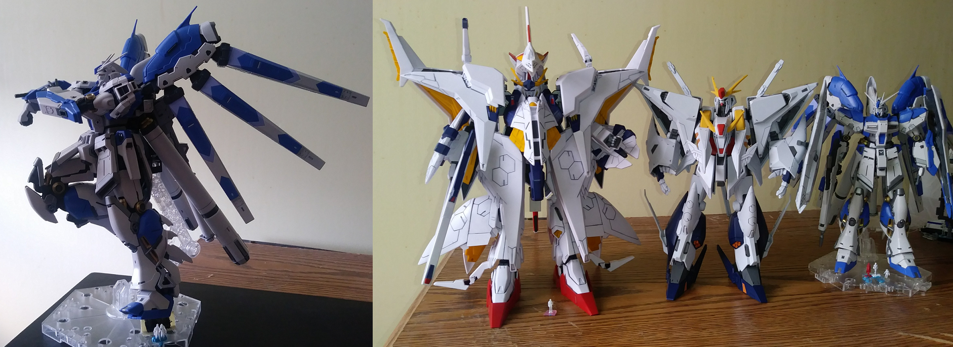 RG HG.png