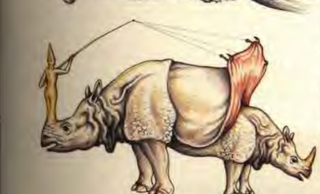 Rhino.PNG