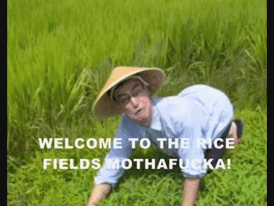 Rice+fields_c47123_4095092.gif