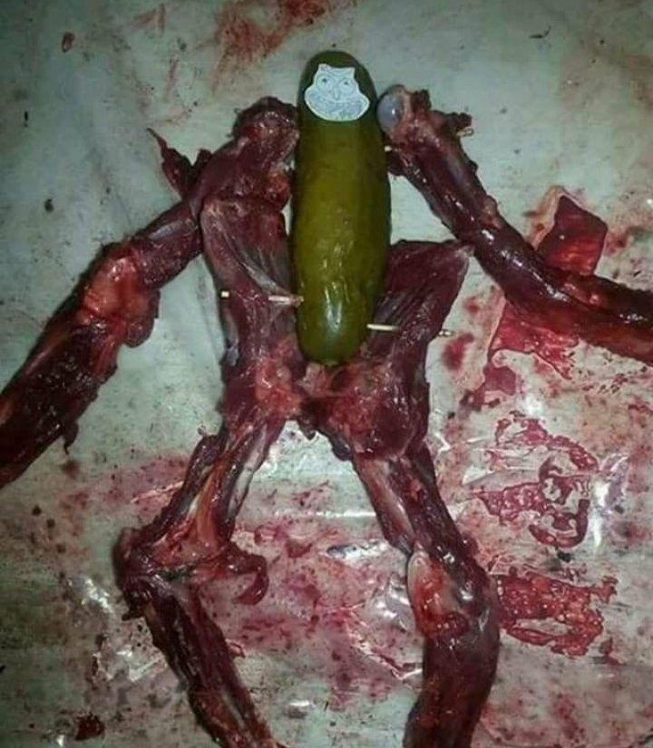 rickle.jpg