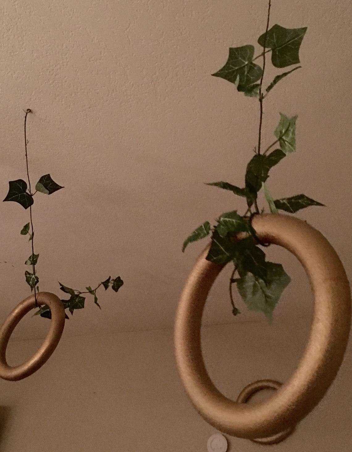 rings.jpg