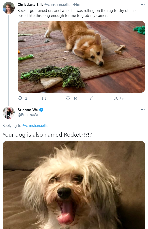 rocket.png