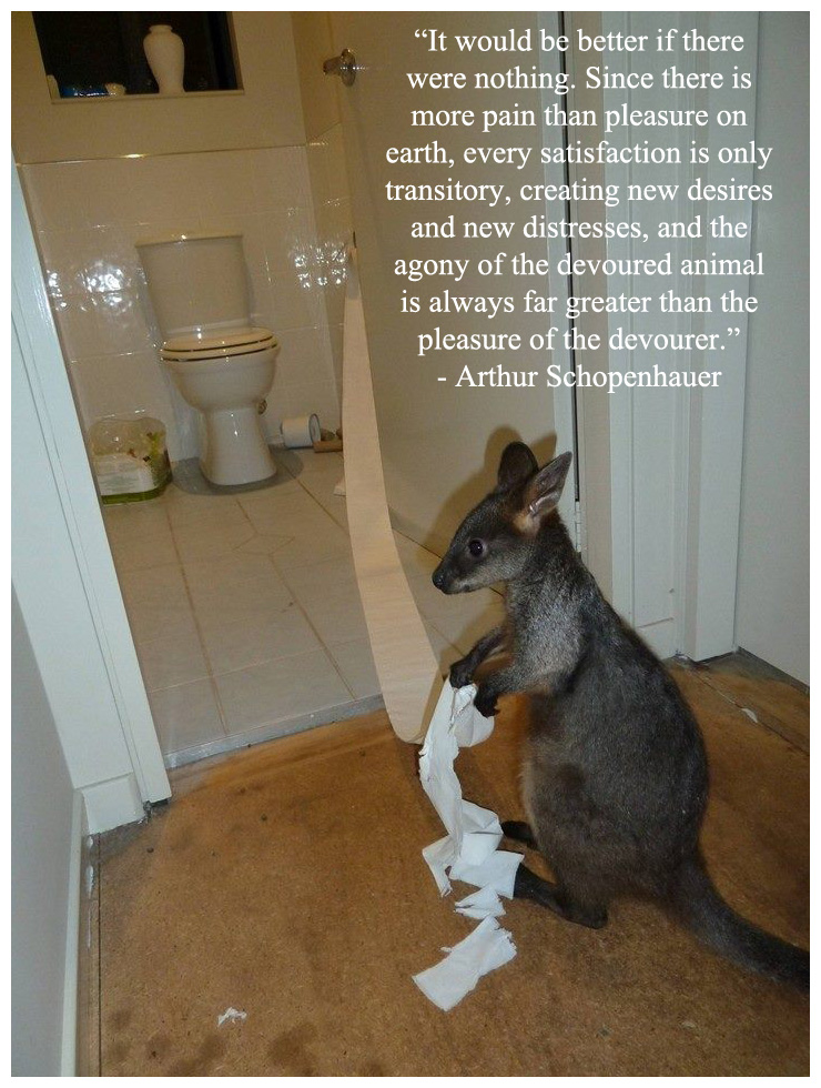 Roo.jpg
